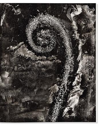 Sacks, Oliver (1933-2015) & Abelardo Morrell, illus. (b. 1948) The Island of Rota.